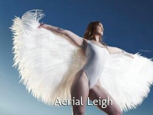 Aerial_Leigh
