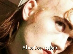 AliceCorrosion