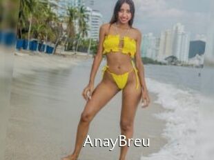 AnayBreu