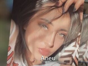 Aneu