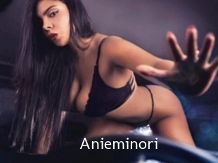 Anieminori