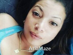 Aria_Maze