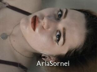 AriaSornei