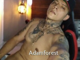 Adamforest