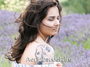 Aerinbaudelaire