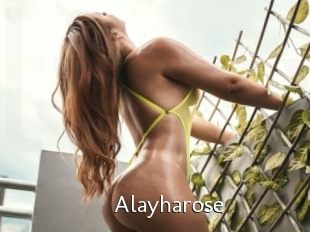 Alayharose