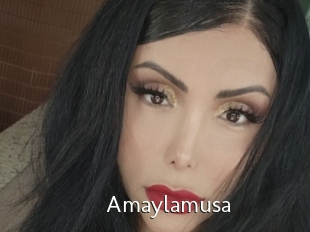 Amaylamusa