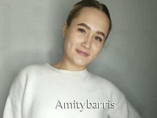 Amitybarris