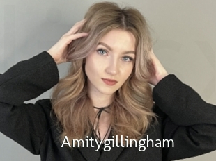 Amitygillingham
