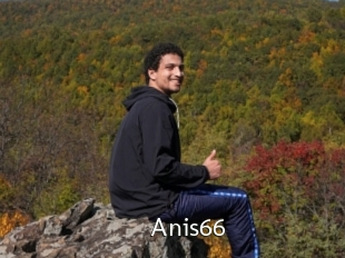 Anis66