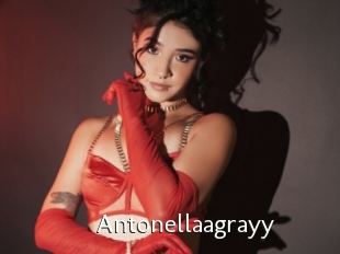 Antonellaagrayy