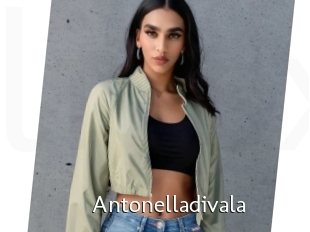 Antonelladivala
