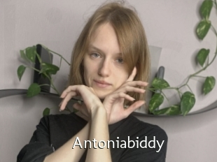Antoniabiddy