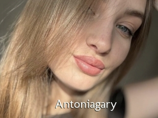 Antoniagary