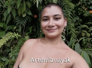 Artemiznayak