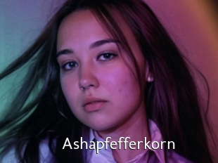 Ashapfefferkorn