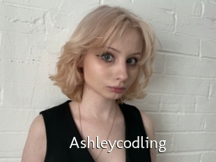 Ashleycodling