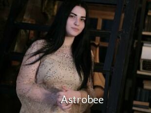 Astrobee