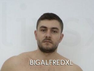 BIGALFREDXL