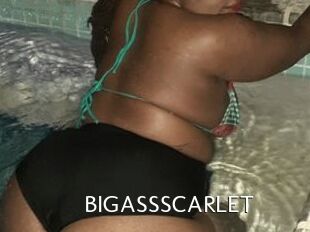 BIGASSSCARLET