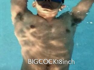 BIGCOCK18inch