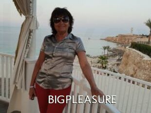 BIGPLEASURE