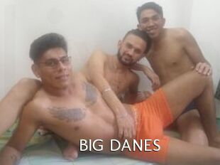 BIG_DANES