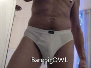 BarepigOWL