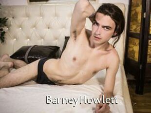 BarneyHowlett