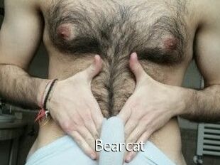 Bearcat