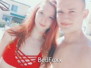 BedFoxx