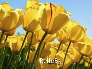 BelleB3