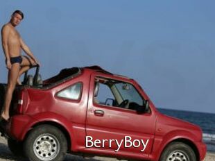 BerryBoy