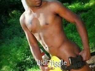 BidDjiggle