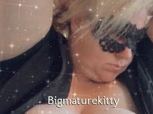 Bigmaturekitty