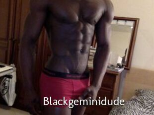 Blackgeminidude