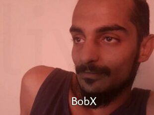 BobX
