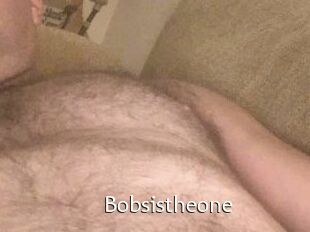 Bobsistheone