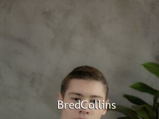 BredCollins