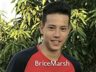 BriceMarsh