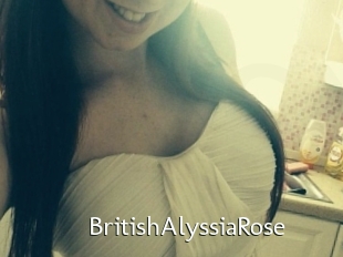 BritishAlyssiaRose