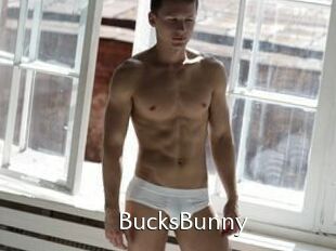 BucksBunny
