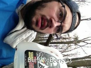 BumbleBee1993