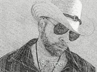 Bumper