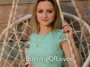 BurningOfLovee