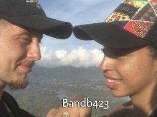 Bandb423
