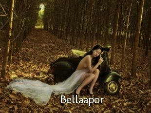 Bellaapor