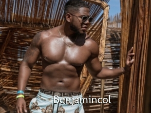 Benjamincol