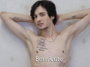 Bernicute