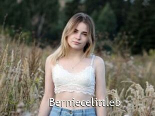 Berniecelittleb